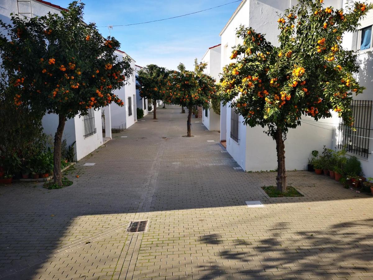 Hermoso Apartamento En Conil Conil De La Frontera Eksteriør bilde
